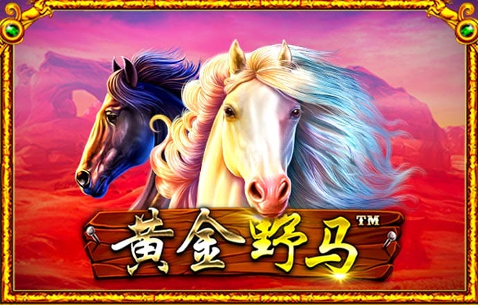ag体育官网入口app